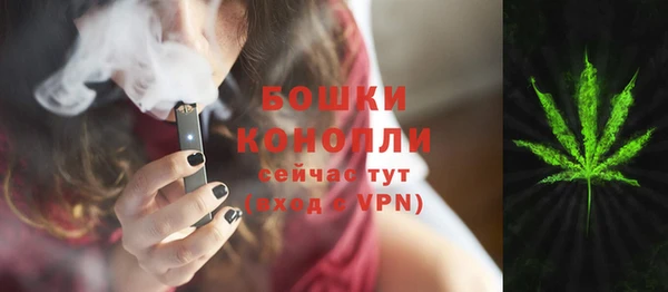 тгк Аркадак