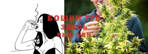 тгк Аркадак